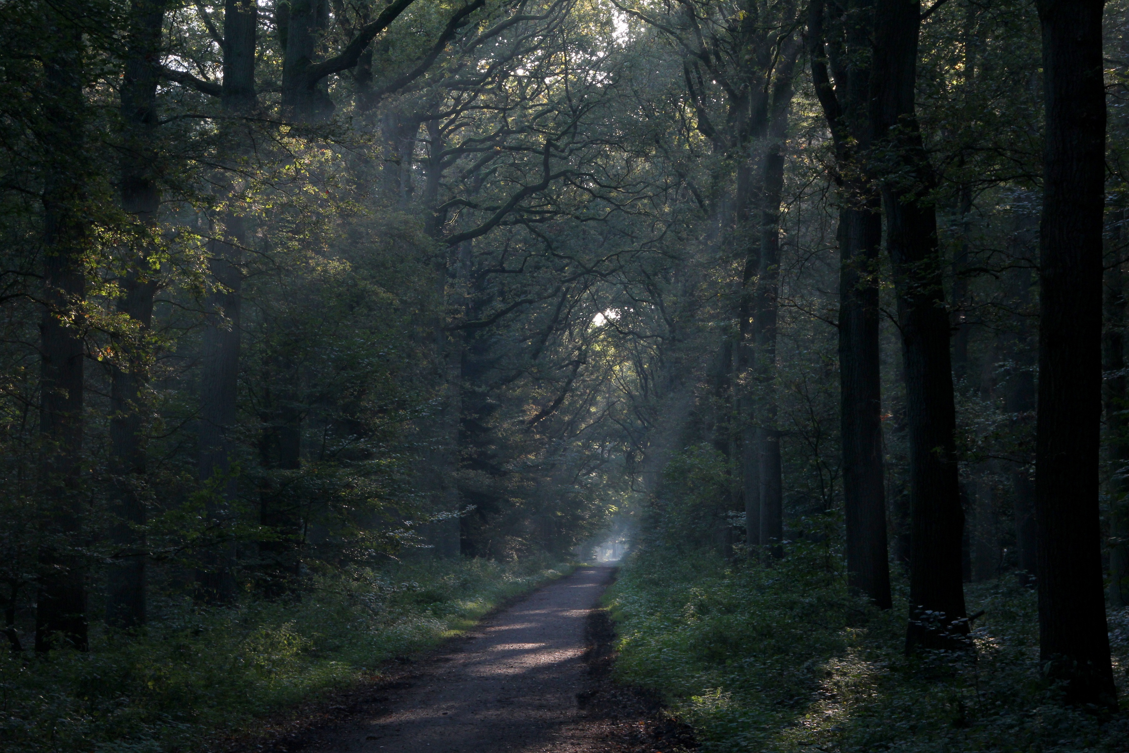 IVN dinsdagmiddag wandeling oktober