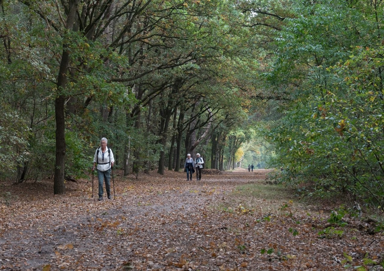 Herfstwandeltocht en Trailrun