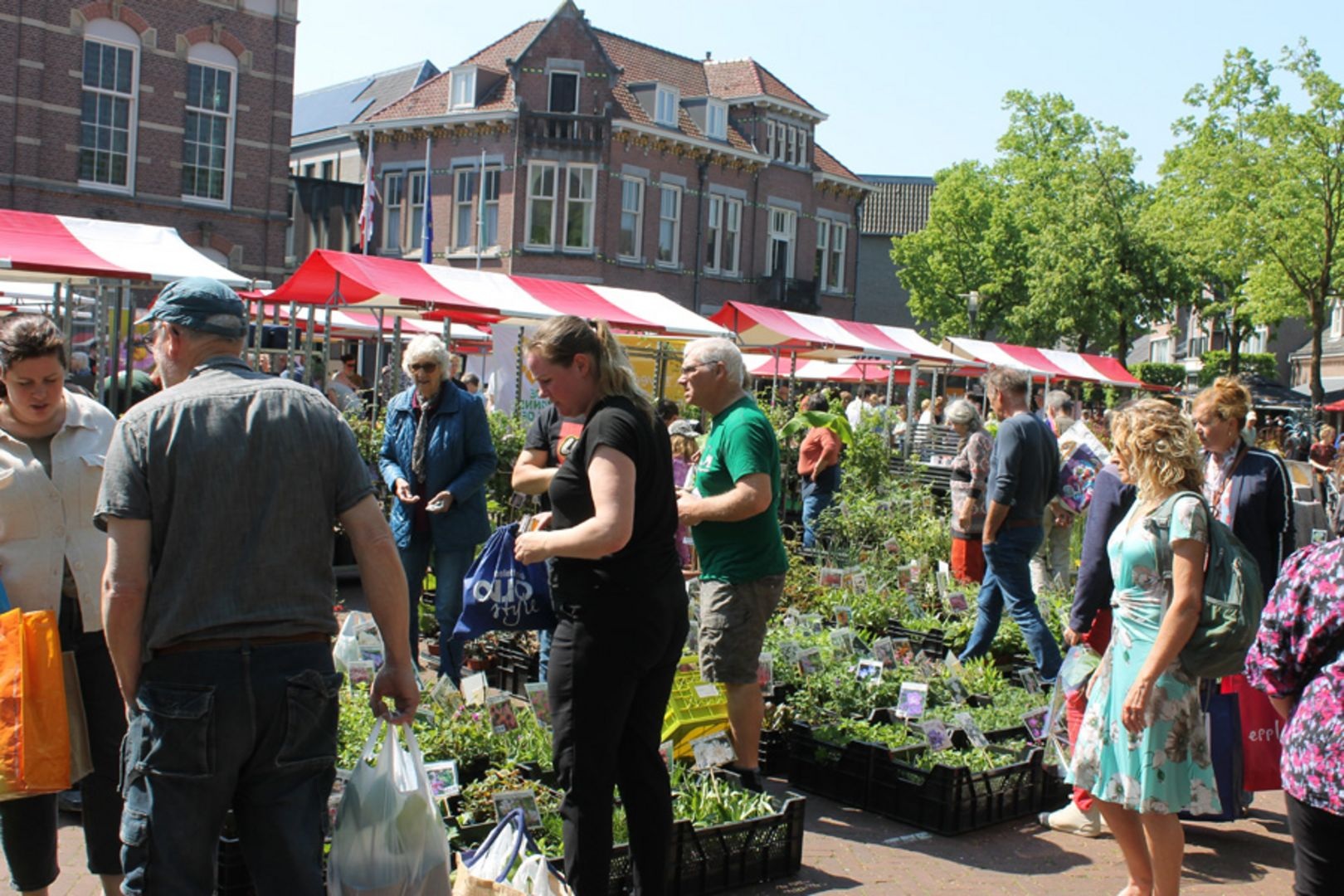 Planten- en tuinmarkt Groei & Bloei