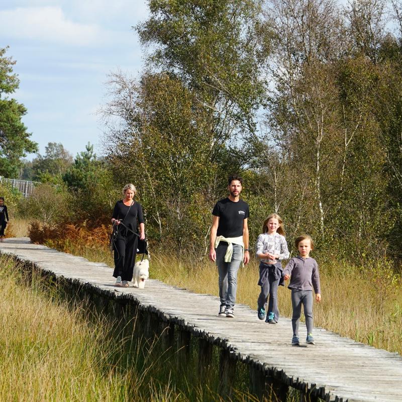 Volwassenen en kinderen en aangelijnde hond lopen over knuppelbrug