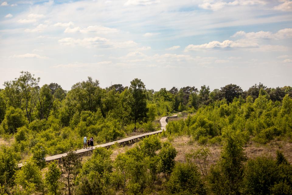 Gezin wandelen in de natuur