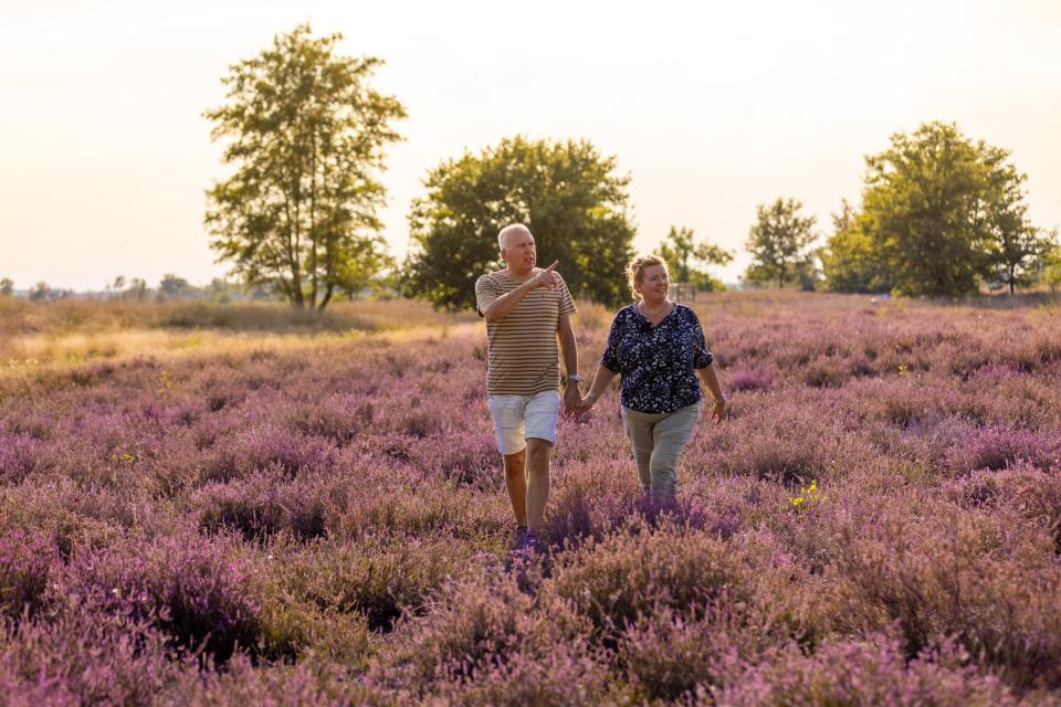 Man en vrouw wandelen tussen paarse heide