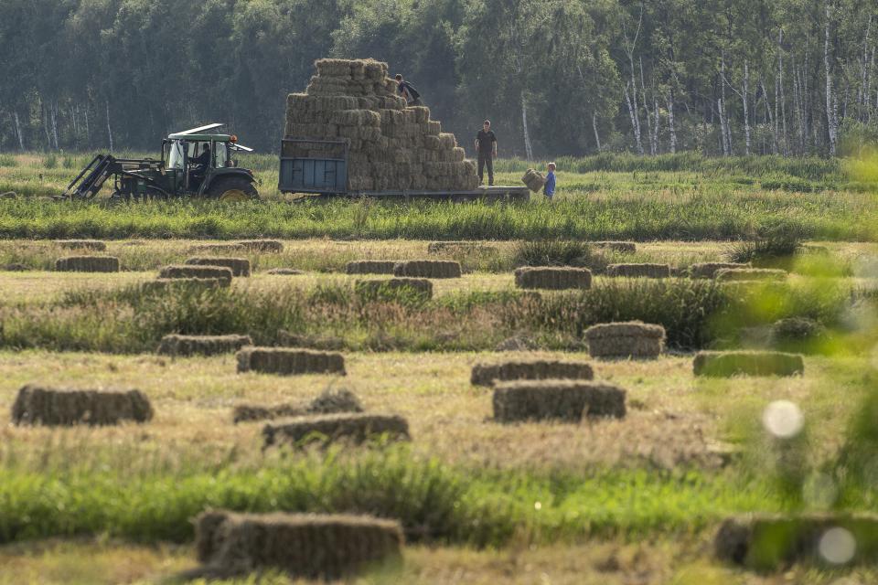 <p>Rural landscape with hay bales, tractor and farmers at work</p>