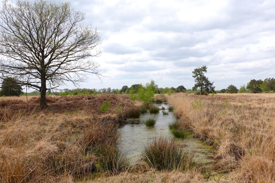 Vaart in hoogveenlandschap