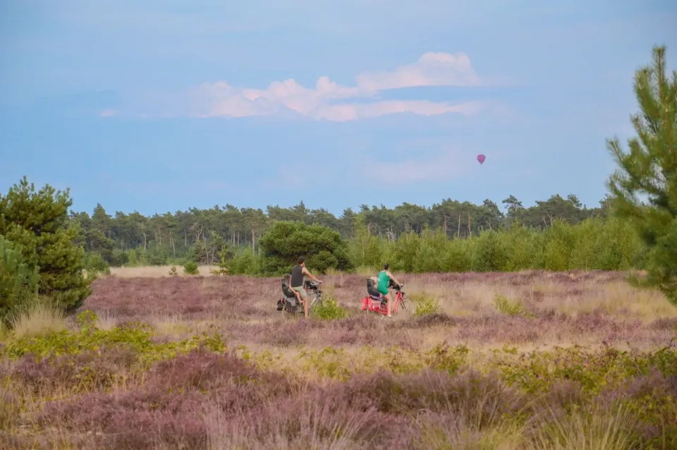 Man en vrouw met kind achterop fiets door heidelandschap