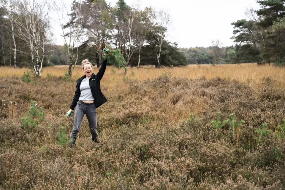 Vrouw houdt klein boompje omhoog in landschap