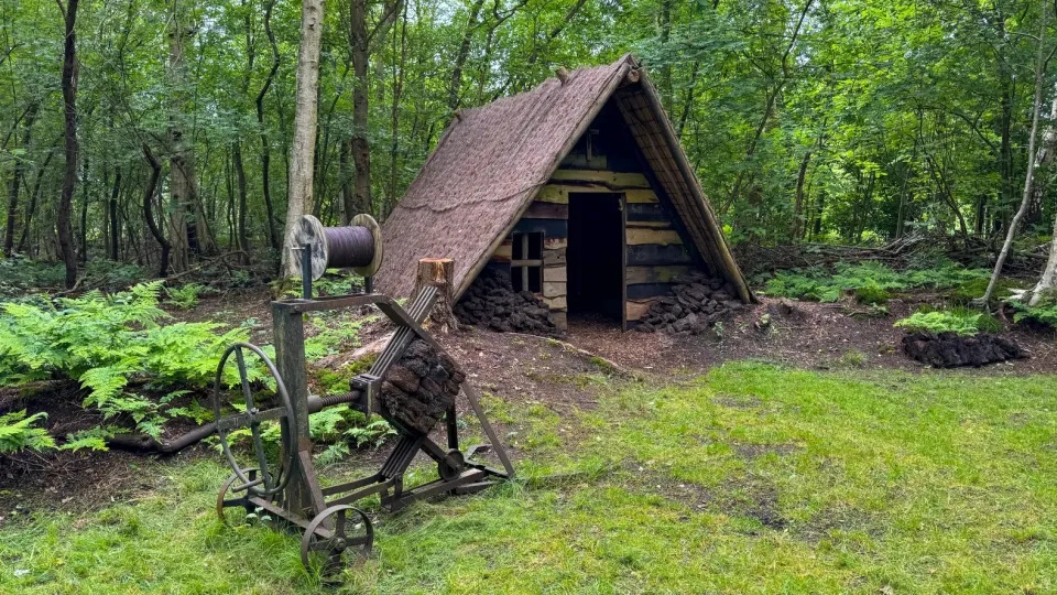 Ouderwetse hut in bos