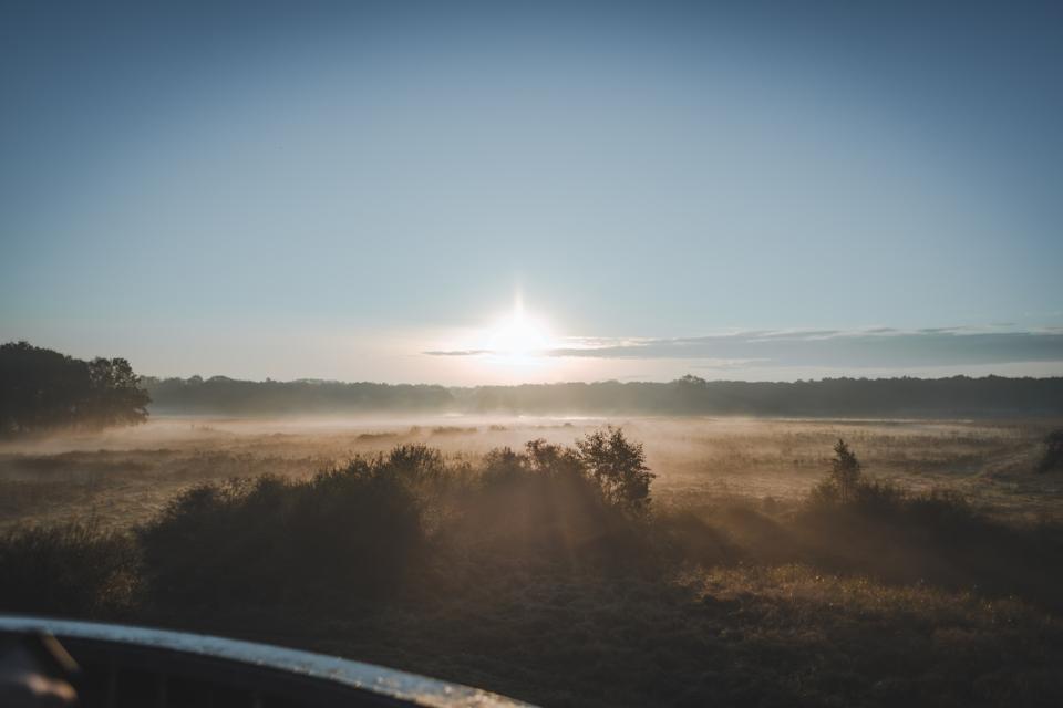 Landschapswandeling in Weerterbos