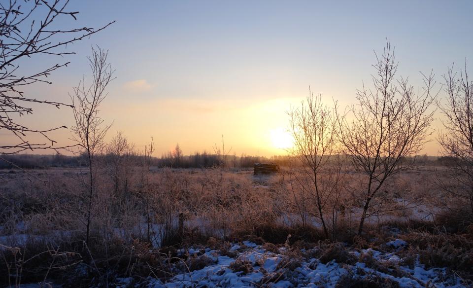 Peeltocht in Nationaal Park De Peel