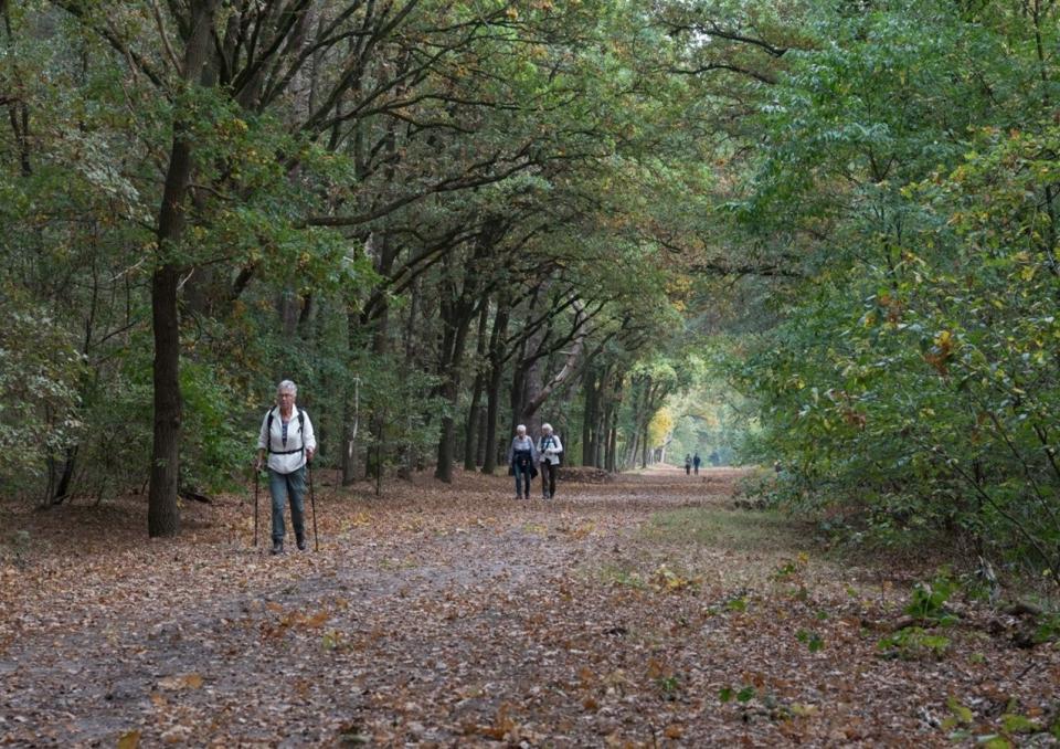 Herfstwandeltocht en Trailrun