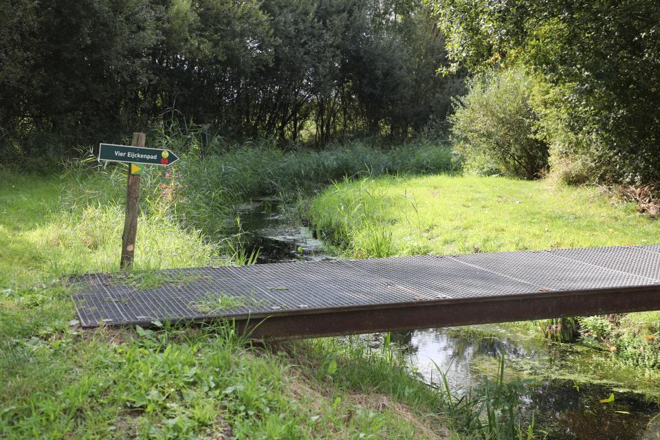 IVN dinsdagmiddag wandeling senioren mei