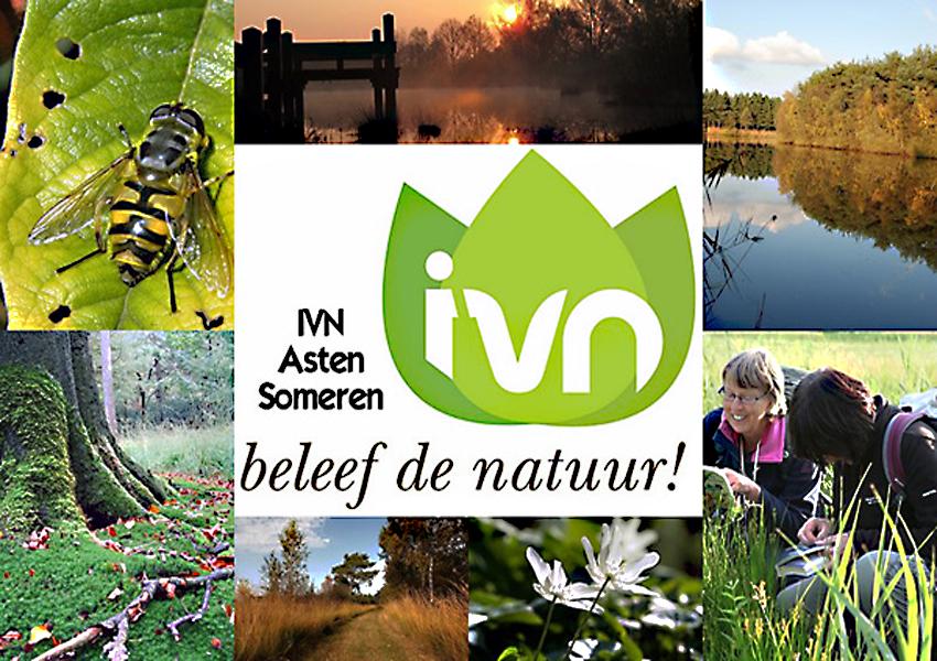 Bijzondere publiekswandeling IVN  Asten-Someren