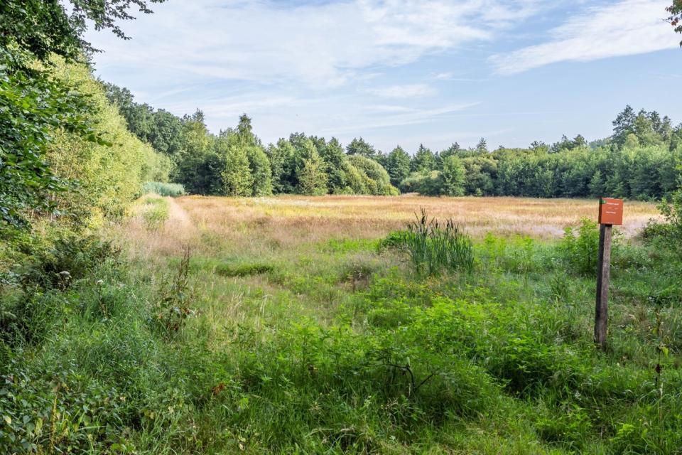 IVN dinsdagmiddag wandeling senioren april
