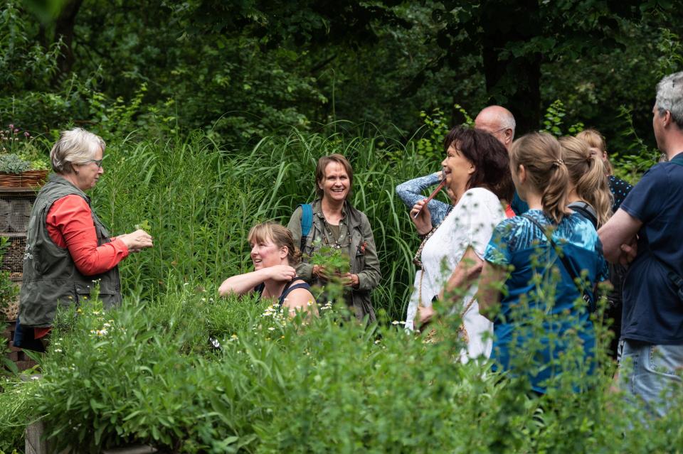 Kruidenexcursie vanaf Buitencentrum De Pelen in Ospel