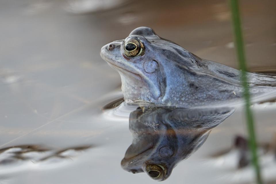 Laarzendag De Groote Peel voor gezinnen