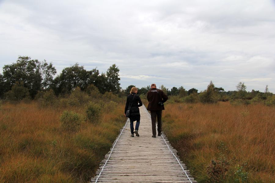 Turfstekerstocht in NP De Peel
