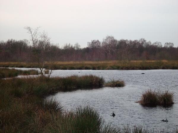 Nieuwe excursie: Oog in oog met het peelwater